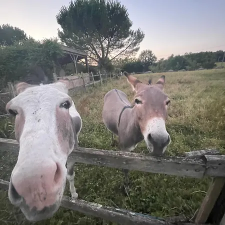 Hameau Du Hour - D'hotes Et Dans Le Gers 3* Béraut