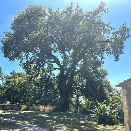 住宿加早餐酒店 Hameau Du Hour - D'hotes Et 3*