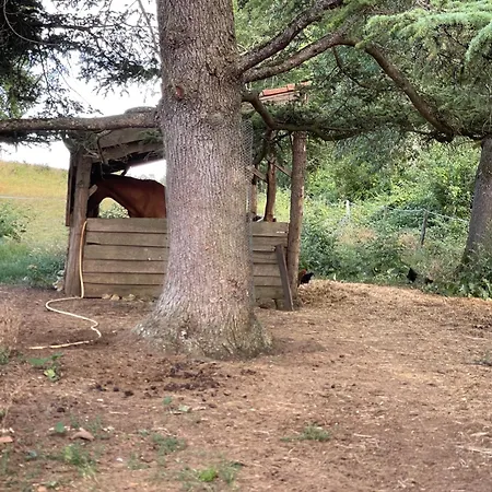 Hameau Du Hour - D'hotes Et Dans Le Gers 3*